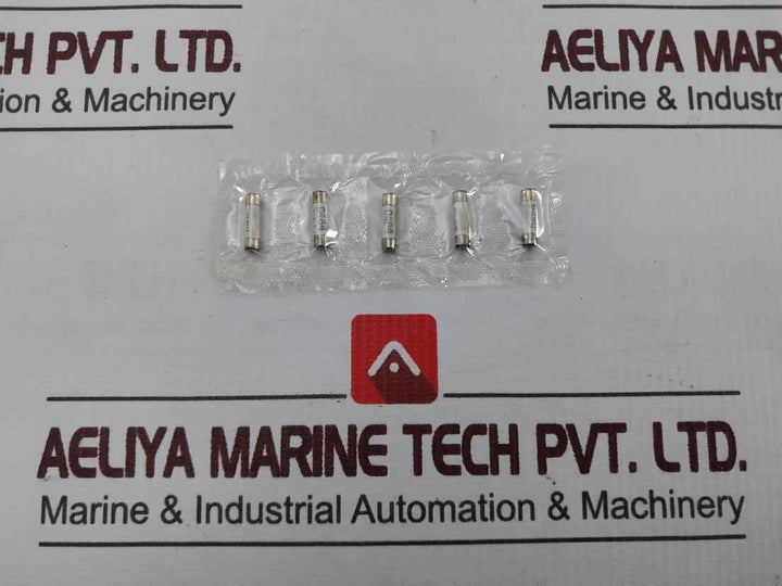 Lot Of 10X 0.481.303ТУ Silver Content Fuse Link 1,0A