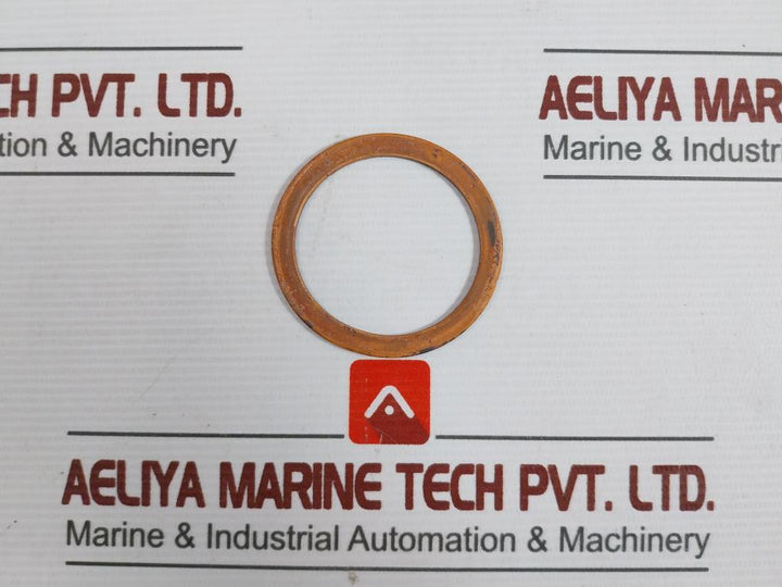 Lot of 10X C-DRMH-C01 Gasket For Shut-Off V/V (ATM.Steam)