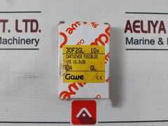 Lot of 10X GAVE 30F2GL Fuse Cartridges 500V 10mm x 38mm 2 AMPS