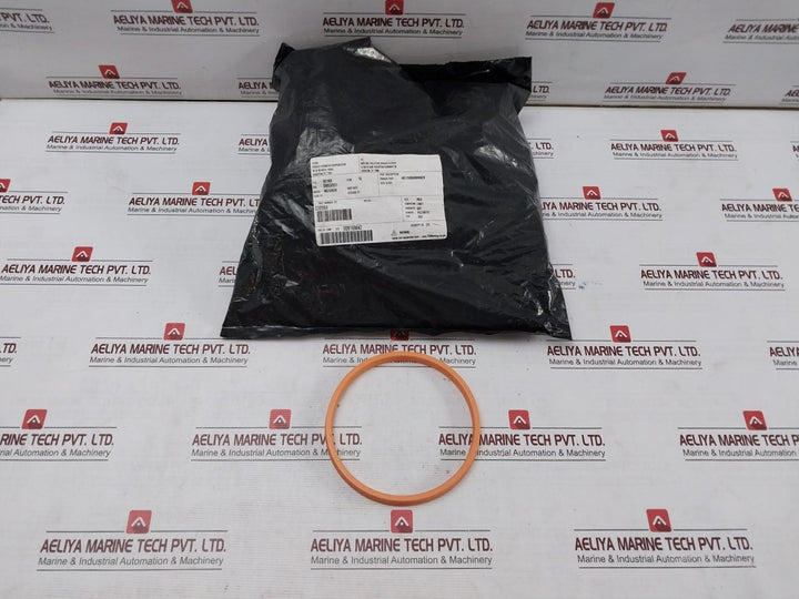 Lot of 10X NOV 030964 Seal O Ring Z4651 465125006000N562B