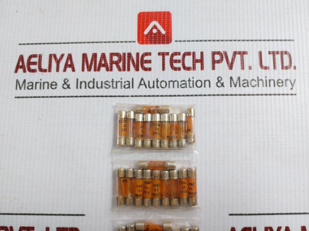 Lot Of 10X Rosma Cylindrical Cartridge Fuse 2A 250V