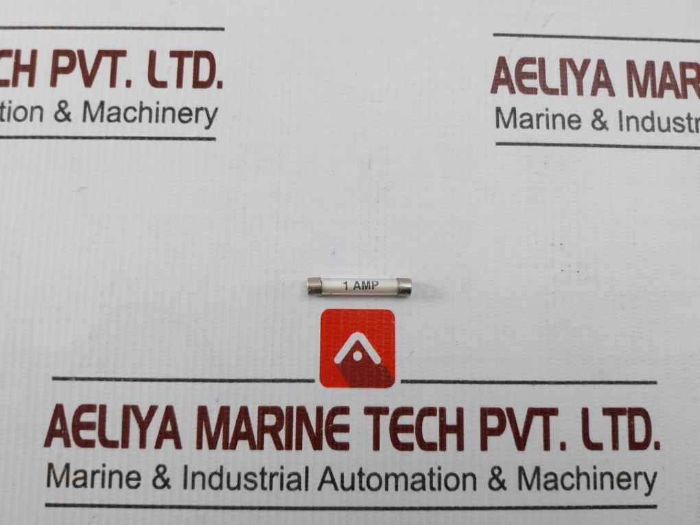 Lot Of 10x 1 Amp Fuse