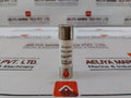Lot of 10X 25A GG/GL Diazed Fuse IEC 269 500V AC 100kA