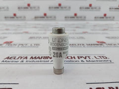 Lot of 19X Lindner 20A 500V GL Ceramic Bottle Fuse