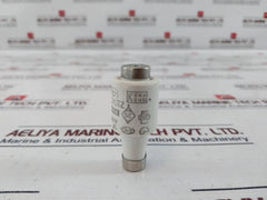 Lot of 19X Lindner 20A 500V GL Ceramic Bottle Fuse