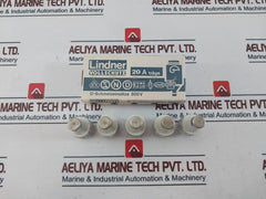 Lot of 19X Lindner 20A 500V GL Ceramic Bottle Fuse