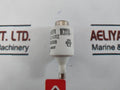 Lot of 25X Lindner 2A 500V Bottle Fuse 6230