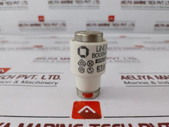 Lot of 25X Lindner 63A 500V D Cartridge Fuse E-33