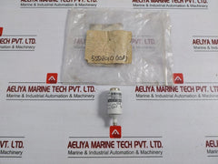 Lot Of 2X 5Sd8010 Ceramic Bottle Fuse 600V Siemens