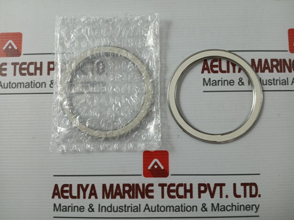 Lot Of 2X B2202 Bonnet Gasket For Boiler Valve