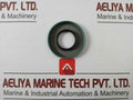Lot Of 2X Cr Seals 10123 Oil Seal