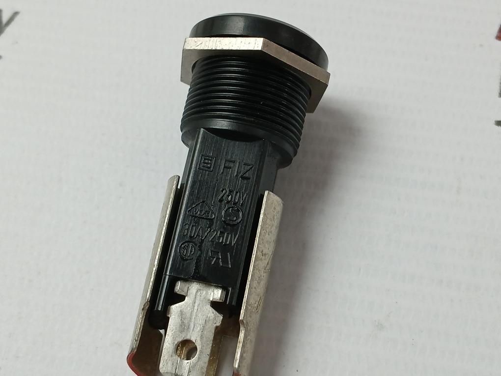 Lot Of 2X Fuse Holder 30A/250V Schurter Fiz