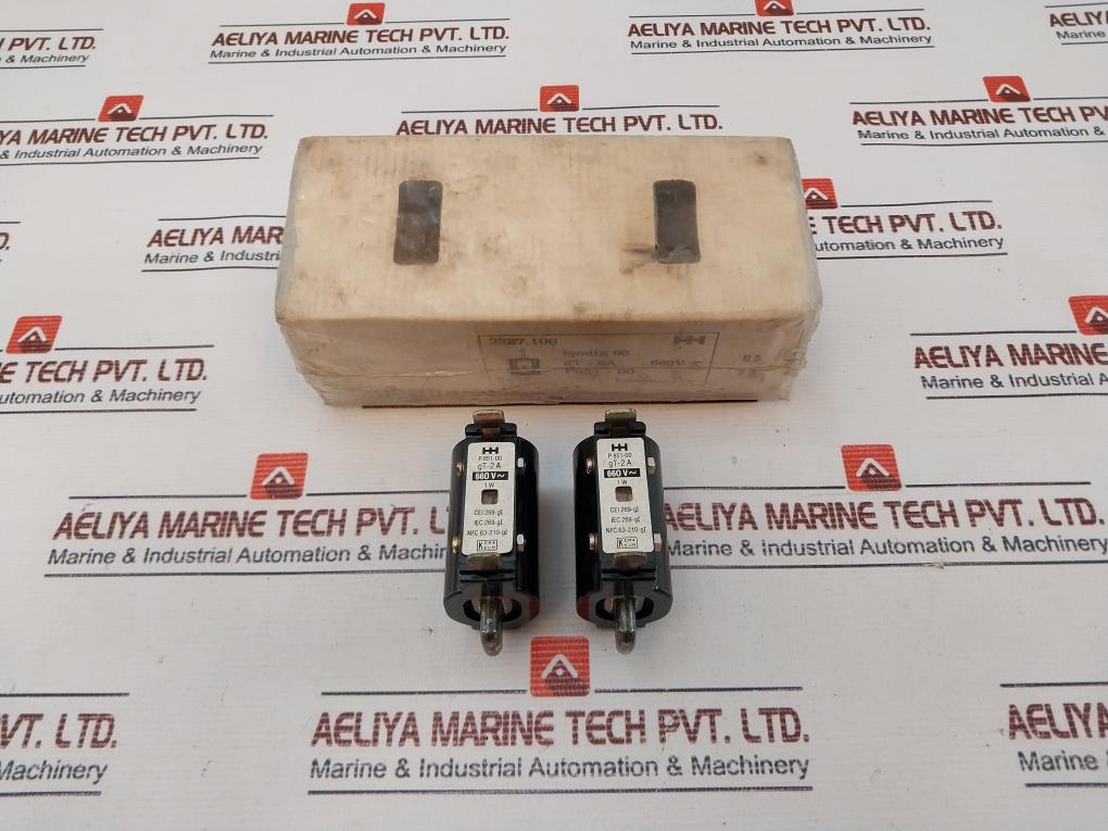 Lot of 2X Holec P 851-00 Fuse Link 660V