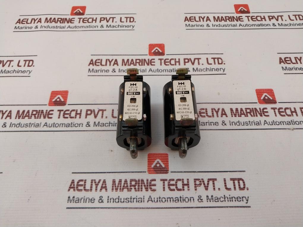 Lot of 2X Holec P 851-00 Fuse Link 660V