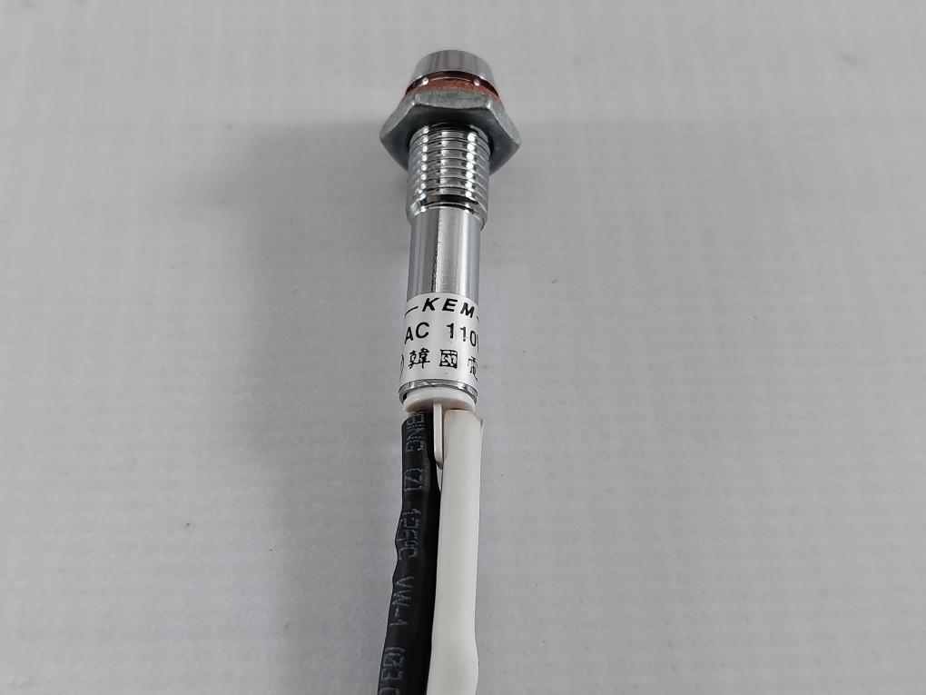Lot of 2X KEM AC 110V LS Cable E52853