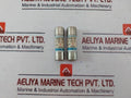 Lot of 2X SBF SC-2 Cartridge Fuse 2A AC500V/DC250V