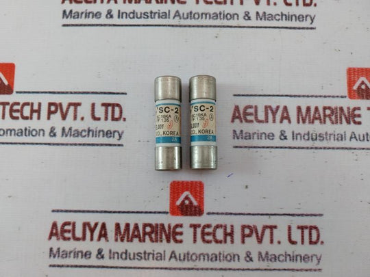 Lot of 2X SBF SC-2 Cartridge Fuse 2A AC500V/DC250V
