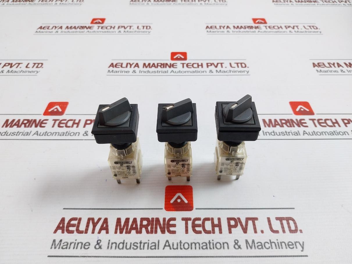 Lot Of 2X Schlegel At Contact Block 250 V 6(3)A