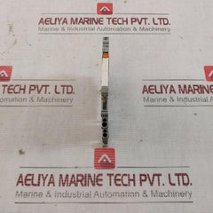 Lot of 2X Wago 857-304 Relay Module 24V DC 250V AC/6A A23092-A1024-A301 60 C