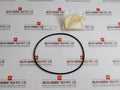 Lot Of 4X Cryostar O-ring 798170981