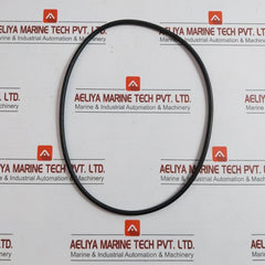 Lot Of 4X Cryostar O-ring 798170981