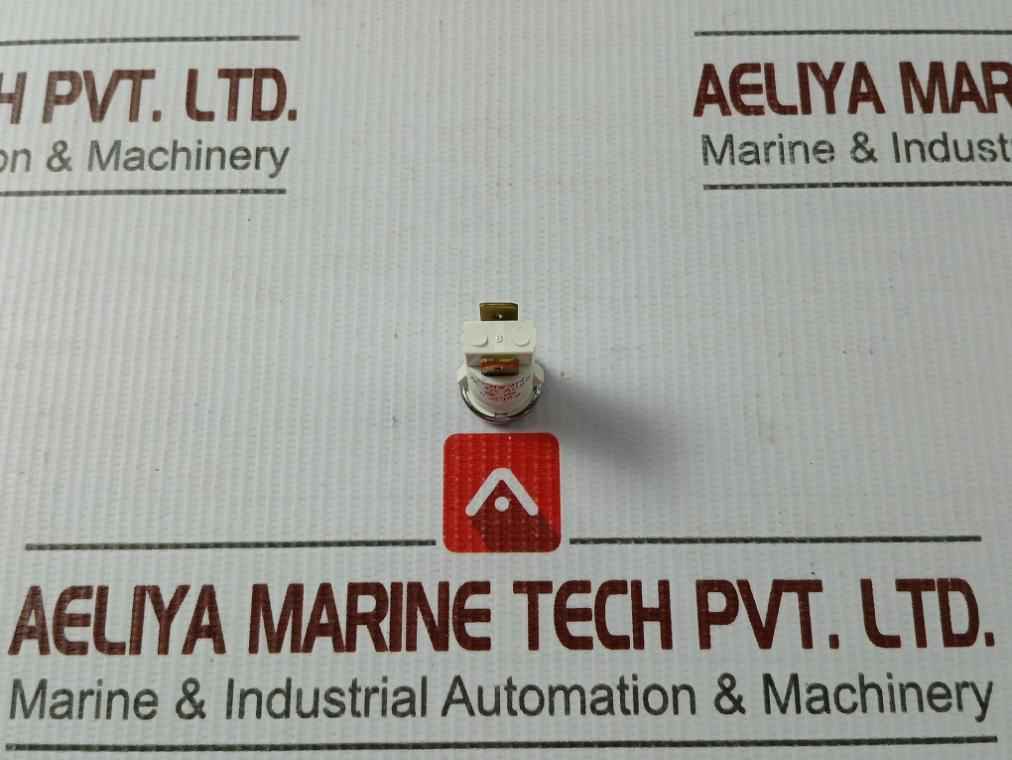 Lot Of 4X Star Y6690 Pilot Light 250V 1/8W