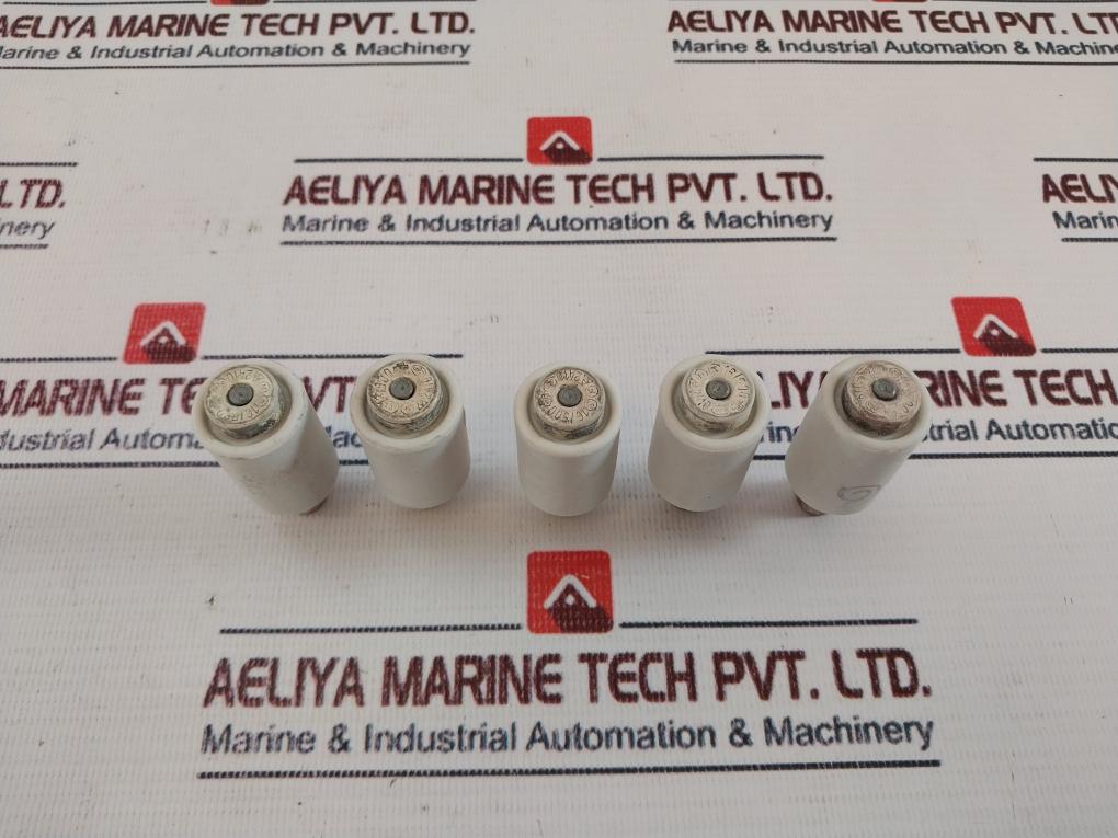 Lot Of 5X Dii 16A 500V Fuse 16/500