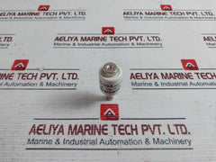 Lot Of 5X Siba 10 005 04 Fuse 10A 500V