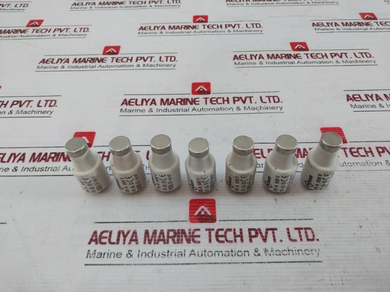 Lot Of 5X Weber 25A Ceramic Fuse 500V Gl/Gg