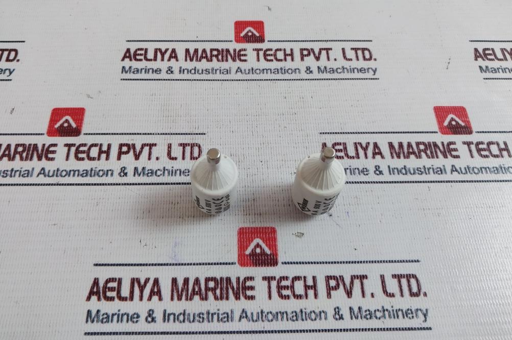 Lot of 5X Weber GL/GG Fuse 6a 500v