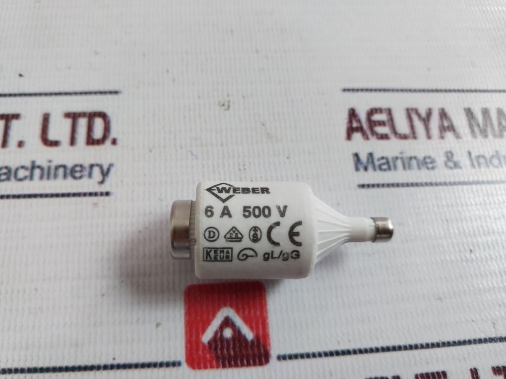 Lot of 5X Weber GL/GG Fuse 6a 500v