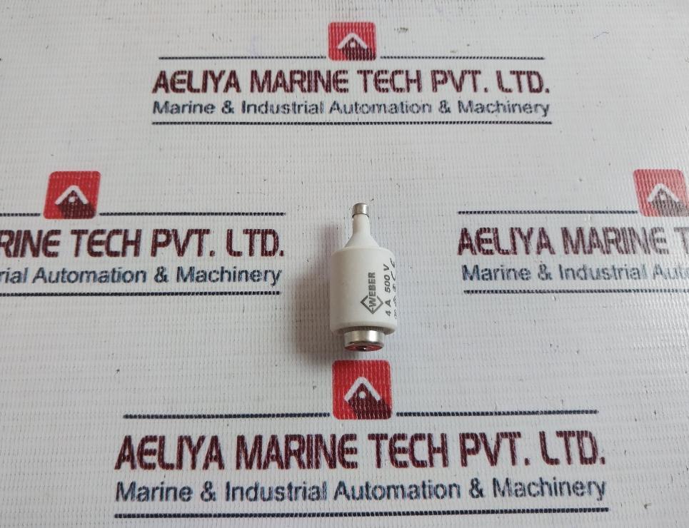 Lot of 5X Weber GL/GG Fuses 4a 500v