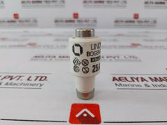 Lot of 5X Lindner Full Protection Fuse 25A 500V