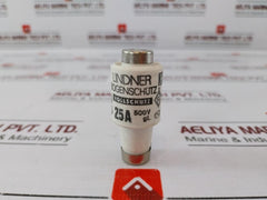 Lot of 5X Lindner Full Protection Fuse 25A 500V