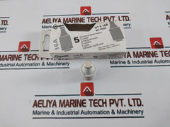 Lot of 5X WEBER DT II 16A GG 16A 500V Slow Blow Fuses 7 611919 017091