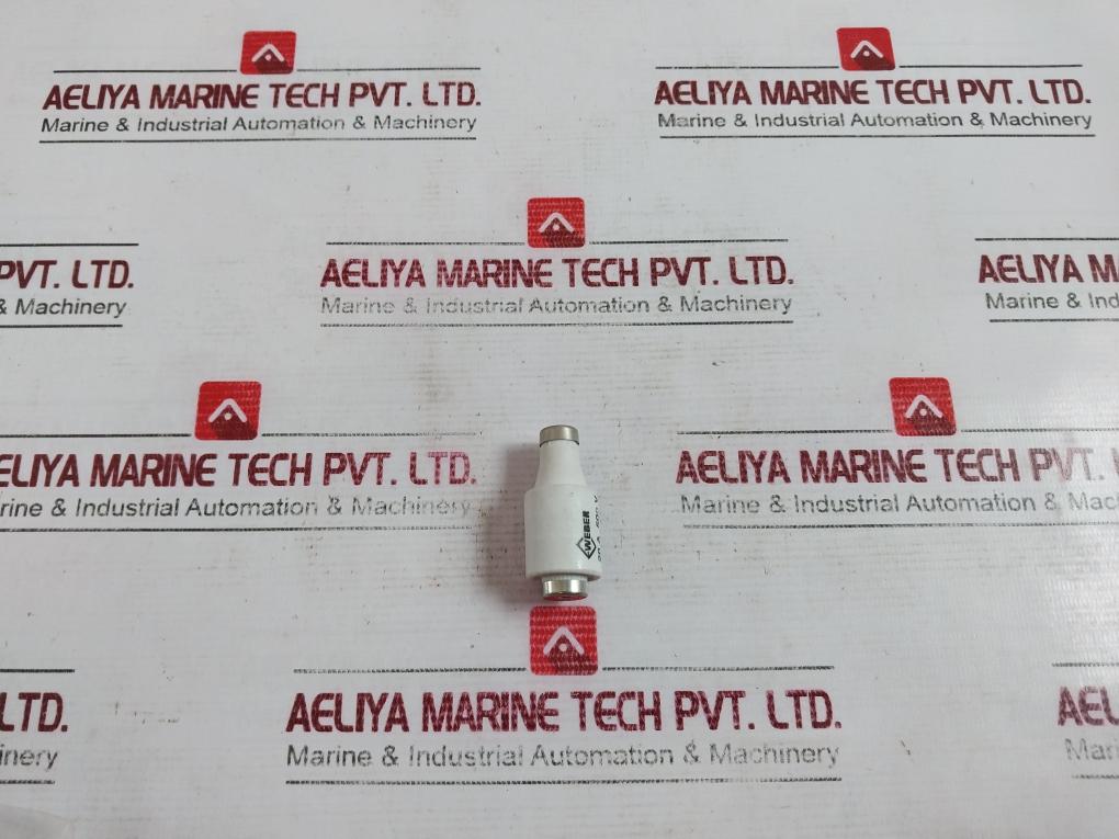 Weber 20A 500V Fuse Gl/Gg