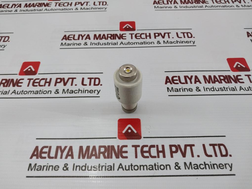 Lot Of 9X Ljs 25A 500V Vollschutz Ceramic Bottle Fuse