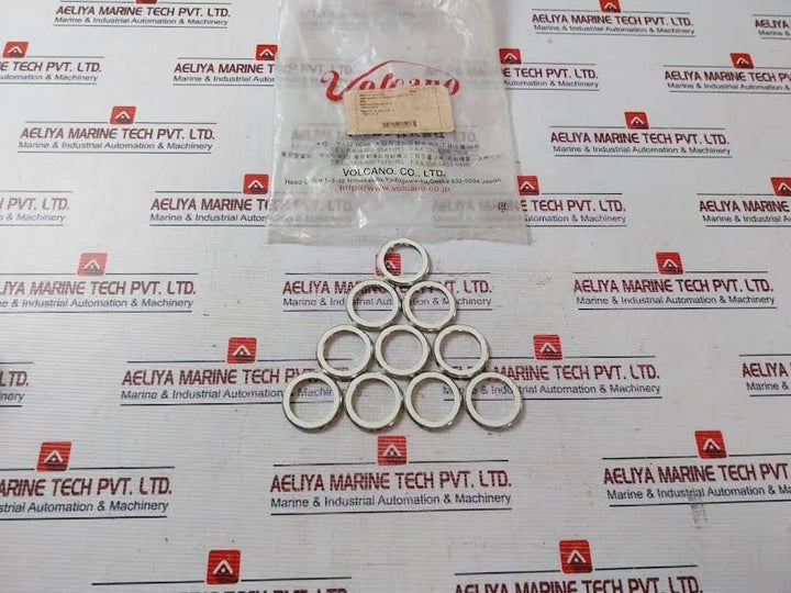 Lot of 10X VOLCANO GST-3F Gasket F/Sprayer F0100.140