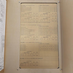 Louisiana Electric 160089, 160102 Digital Dc Motor Field Supply Module 170156