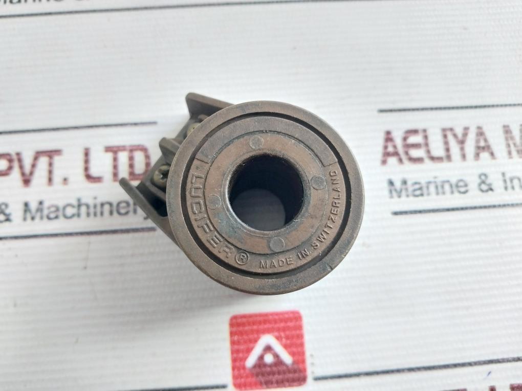 Lucifer 483824 Replacement Solenoid Coil