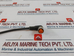 Lumberg Automation Rkwt 4-225/5m Sensor-actuator Patch Cord