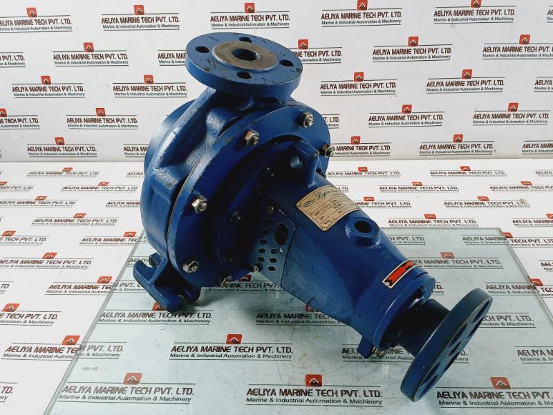 Lyco Ea32/20 End-suction Centrifugal Pump Ea Series Ci-br-ss-ms-oil