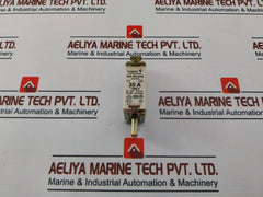 M.Schneider Nh-00/000 Eurofuse Gl-gg 35A 500V Iec 269