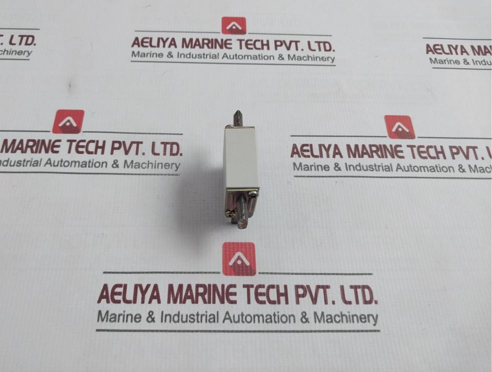 M.Schneider Nh-00 Fuse Link 500V/100A