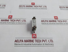 M.Schneider Nh-00 Fuse Link 500V/100A