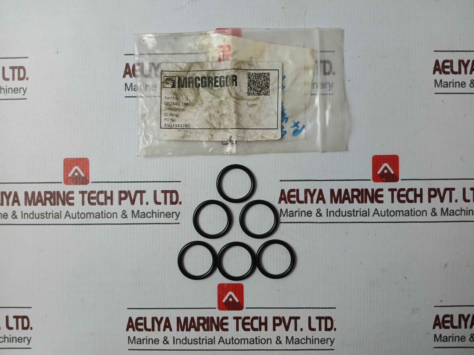 Macgregor 1074706.001 O-ring, Bushing, Check Valve, Studs, Screws, Washer Set