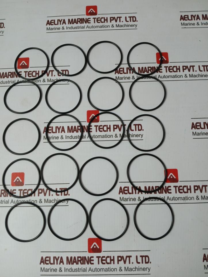 Macgregor 1074706.001 O-ring, Bushing, Check Valve, Studs, Screws, Washer Set