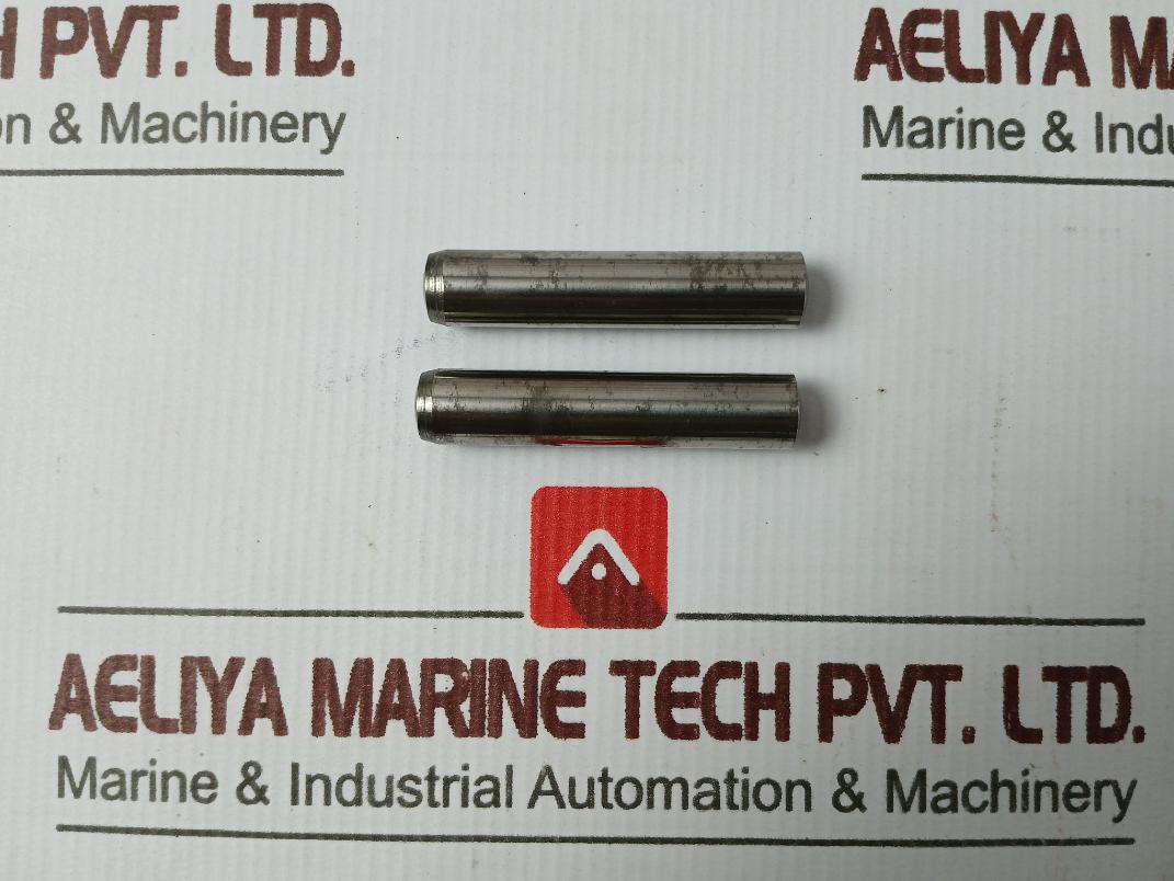 Macgregor 1074706.001 O-ring, Bushing, Check Valve, Studs, Screws, Washer Set