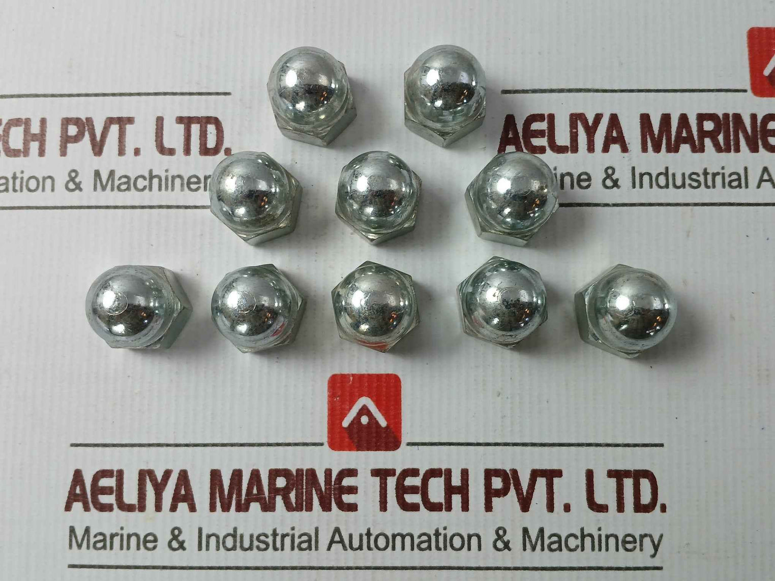 Macgregor 1074706.001 O-ring, Bushing, Check Valve, Studs, Screws, Washer Set