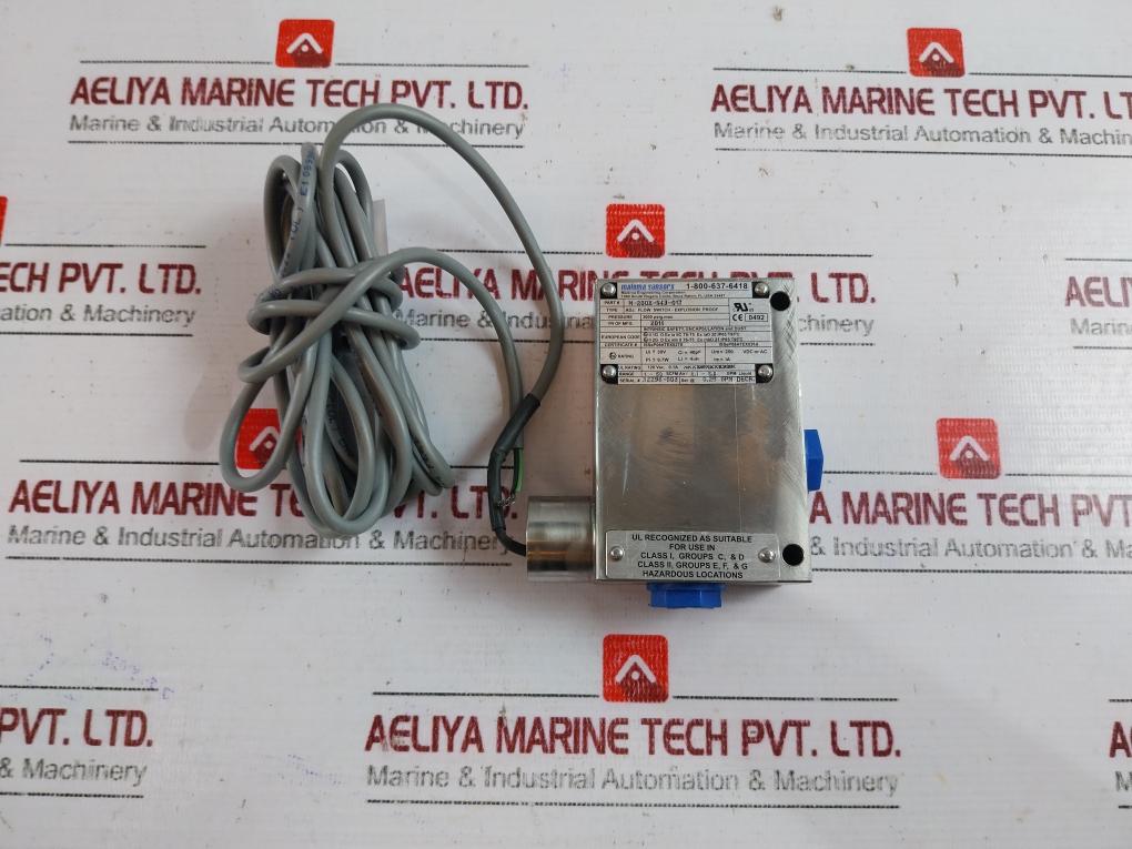 Malema Sensors M-200x-s43-013 Adjustable Flow Switch Explosion